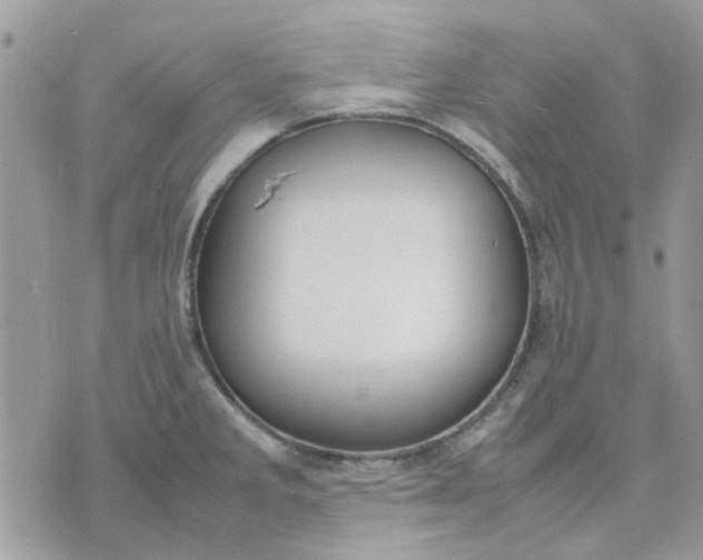 X0000075381285200609291542