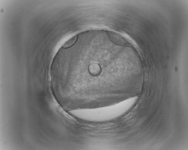 X0000075381287200609291542