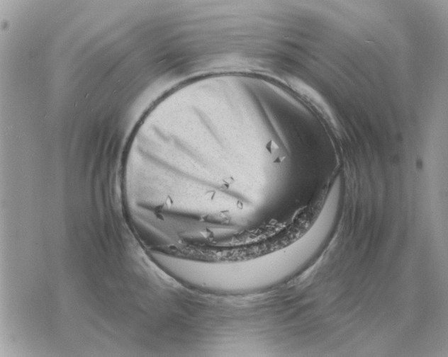 X0000075381288200609291542