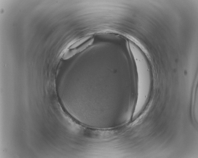 X0000075381289200609291541