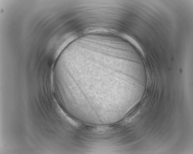 X0000075381290200609291541