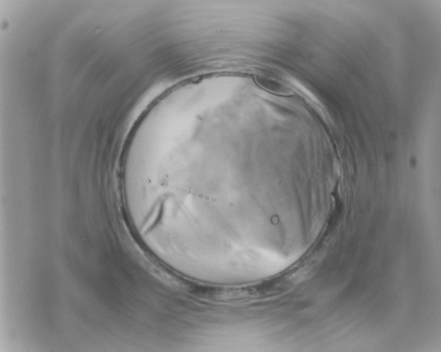 X0000075381291200609291541