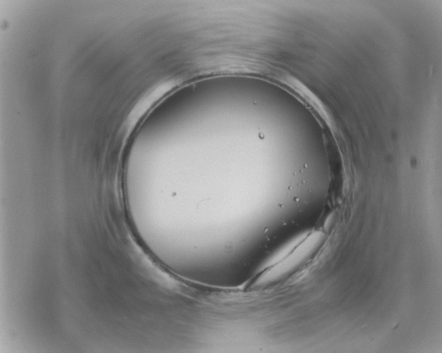 X0000075381293200609291541