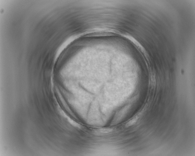 X0000075381294200609291541