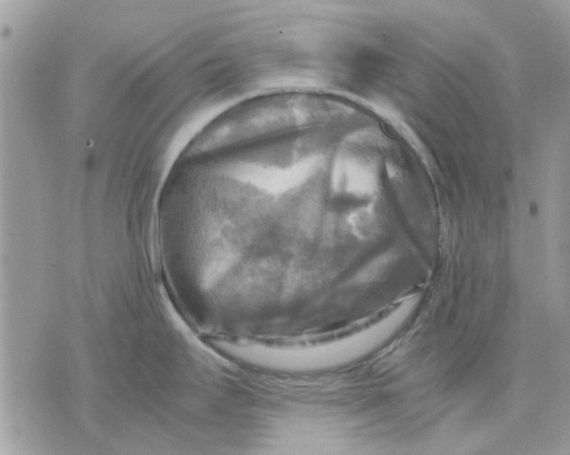 X0000075381295200609291541