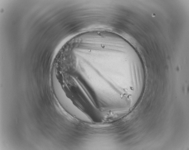 X0000075381296200609291541