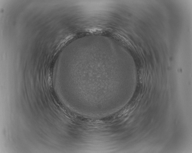 X0000075381298200609291541