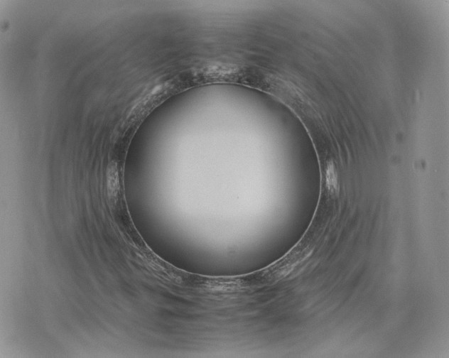 X0000075381299200609291541