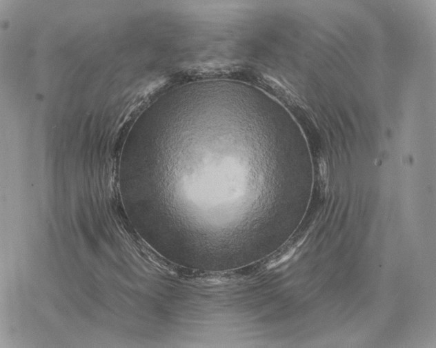 X0000075381300200609291541