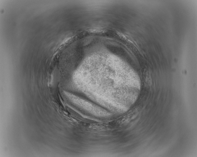 X0000075381301200609291541