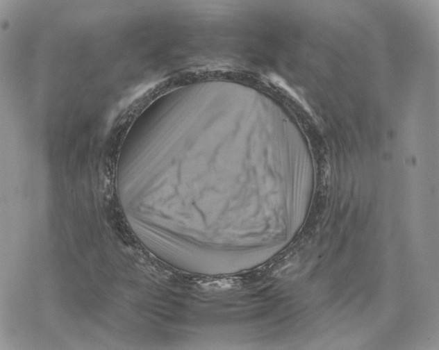 X0000075381303200609291541