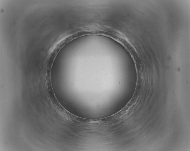 X0000075381304200609291541