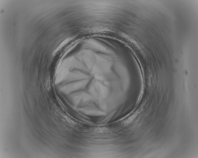 X0000075381306200609291541