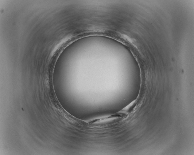 X0000075381307200609291541