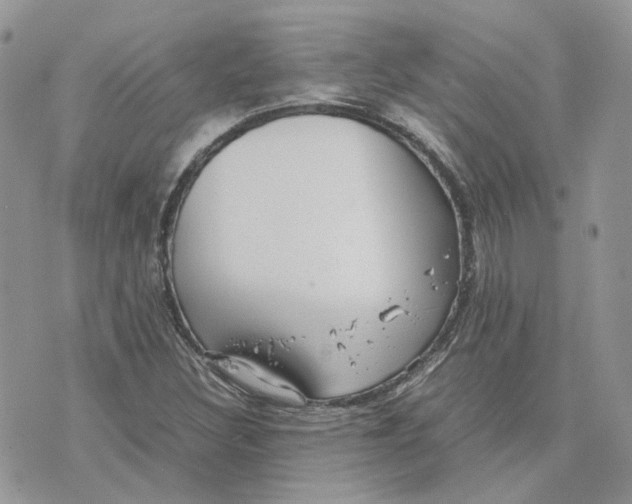 X0000075381308200609291541