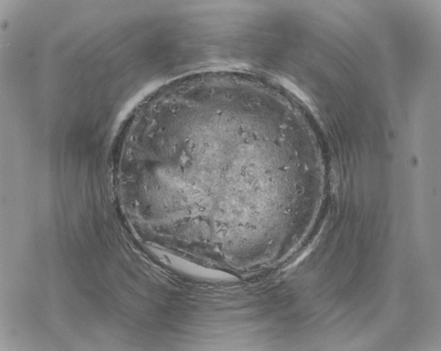 X0000075381310200609291541