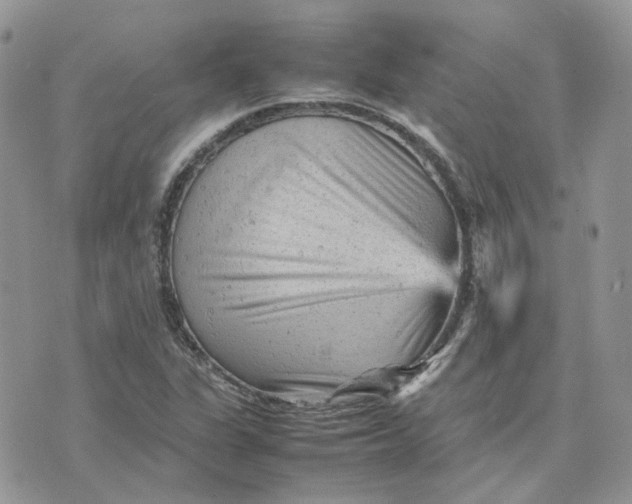 X0000075381311200609291541