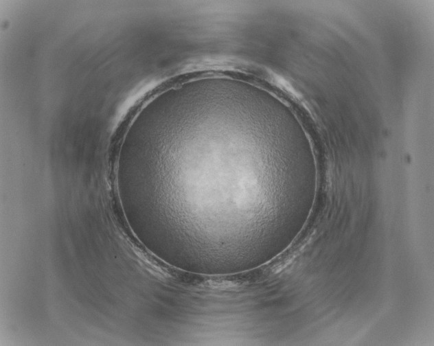 X0000075381312200609291541