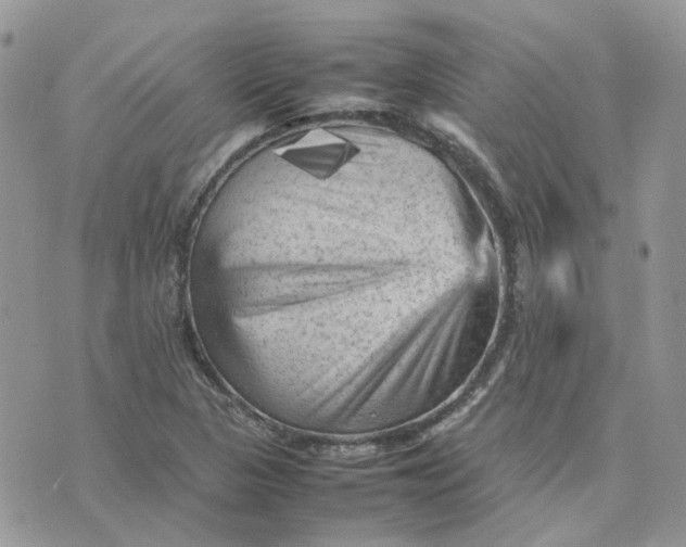 X0000075381313200609291541