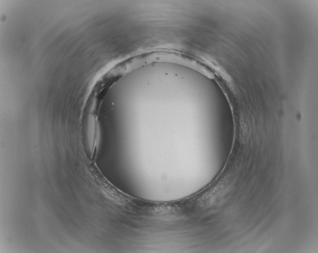 X0000075381316200609291541