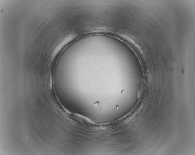 X0000075381317200609291541