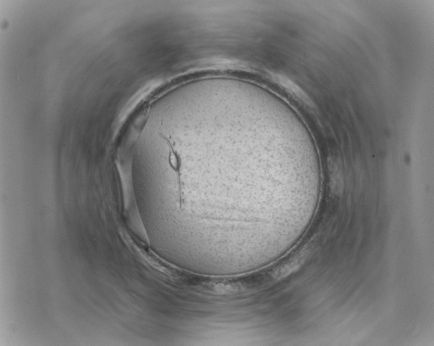 X0000075381318200609291541