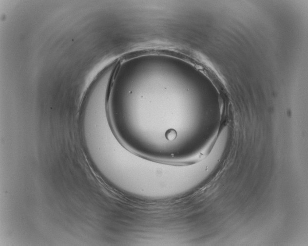 X0000075381320200609291541