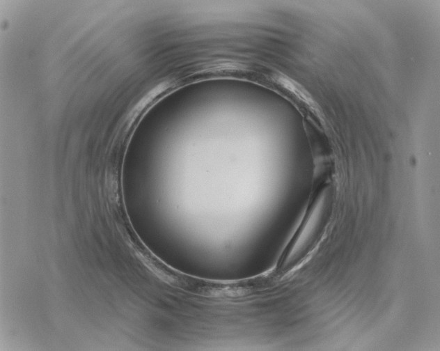 X0000075381321200609291541