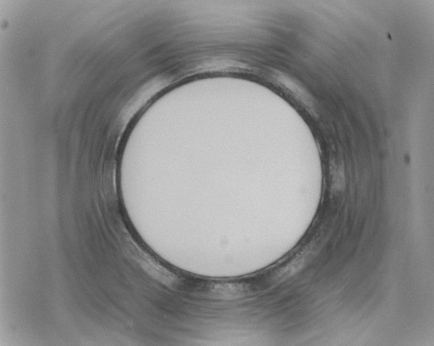 X0000075381322200609291541