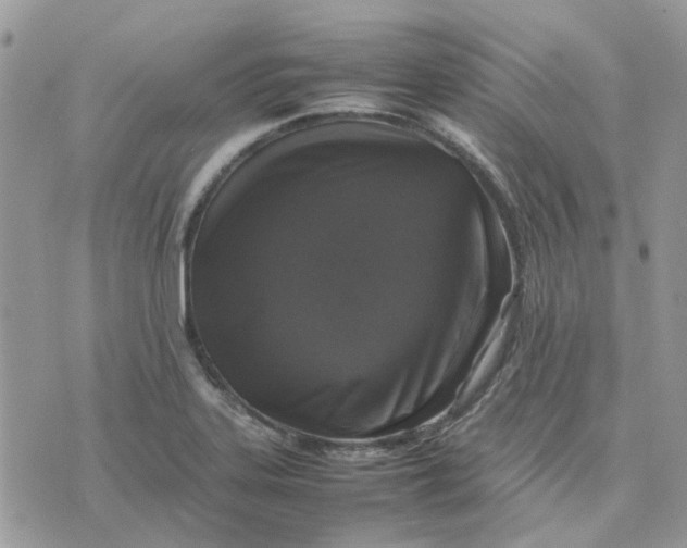 X0000075381323200609291541