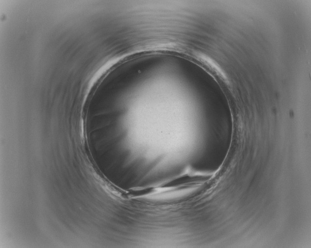 X0000075381324200609291541