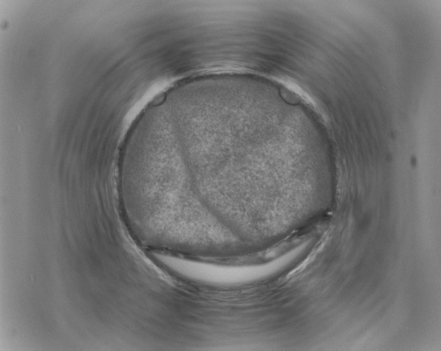 X0000075381325200609291541