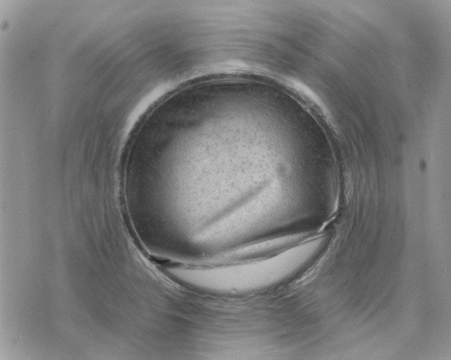 X0000075381326200609291541