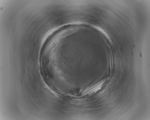 X0000075381327200609291541