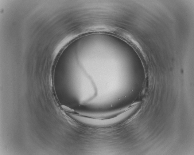 X0000075381328200609291541