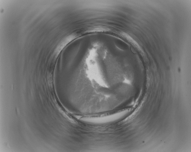 X0000075381329200609291541