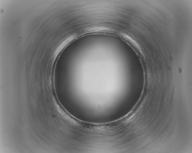 X0000075381330200609291541