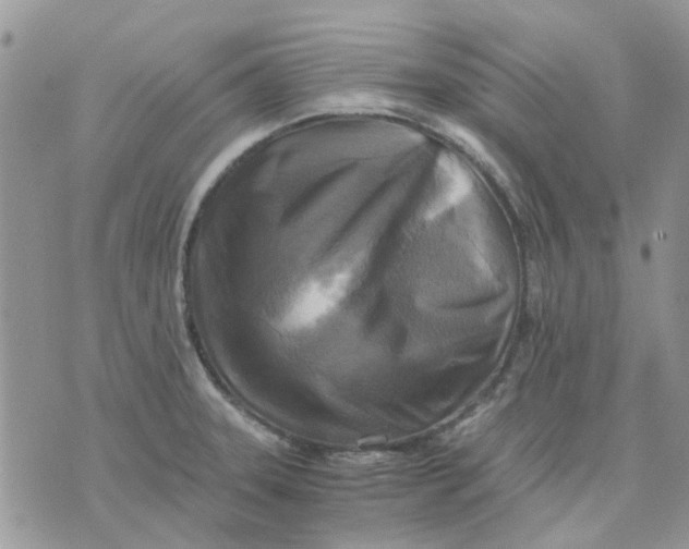 X0000075381331200609291541