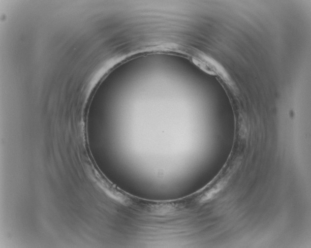 X0000075381332200609291541