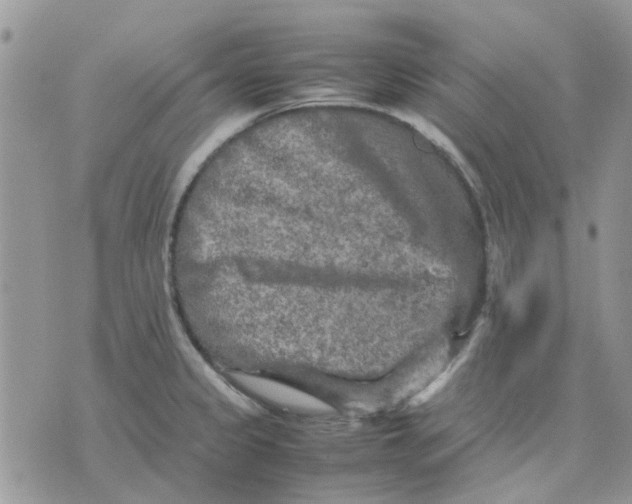 X0000075381333200609291541