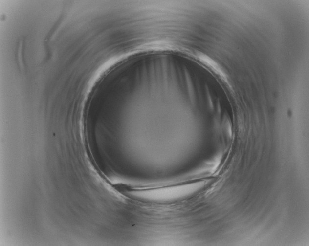 X0000075381334200609291541