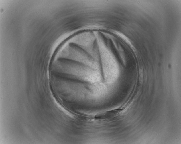 X0000075381335200609291541