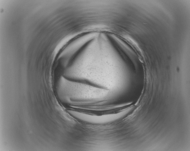 X0000075381336200609291541