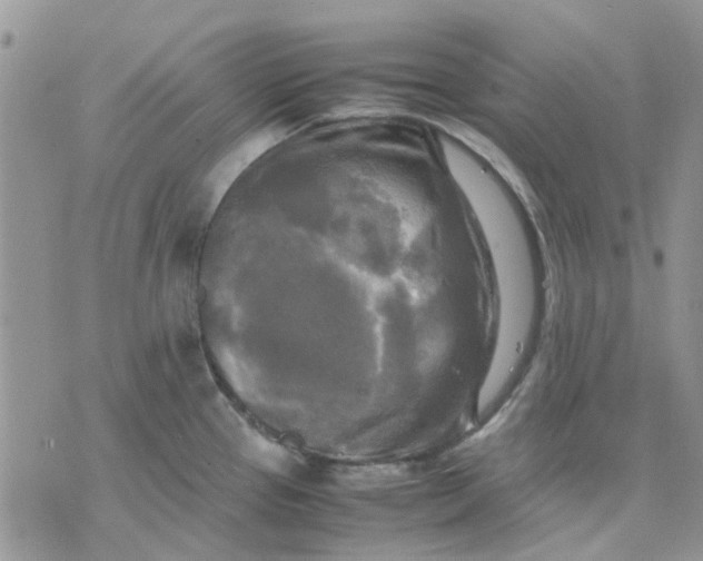 X0000075381337200609291541