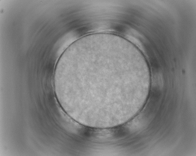 X0000075381338200609291541