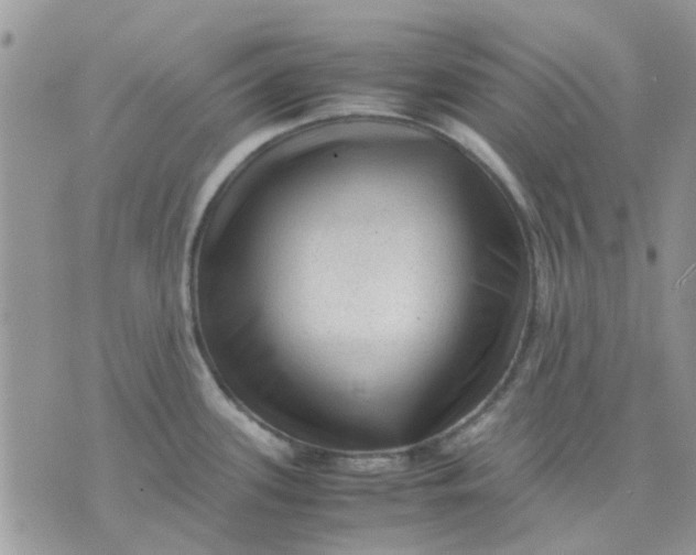 X0000075381339200609291541