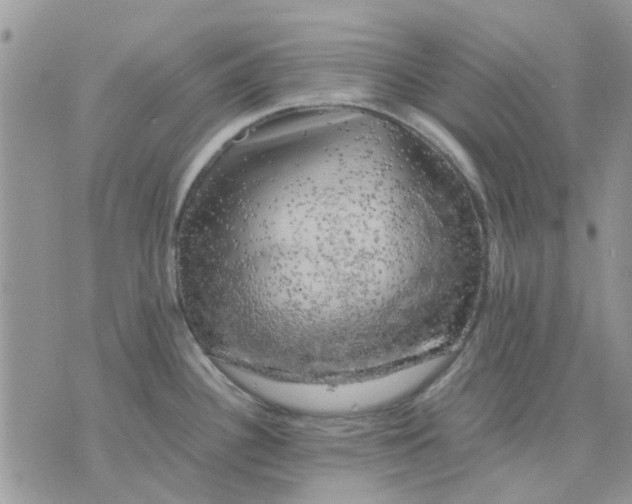 X0000075381340200609291541