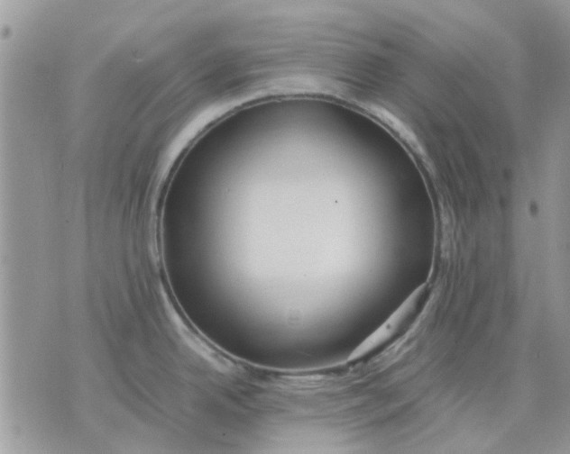 X0000075381342200609291541