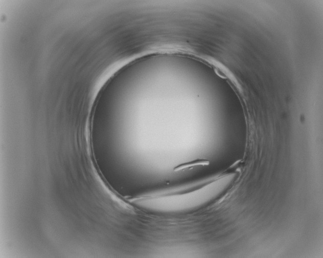 X0000075381343200609291541