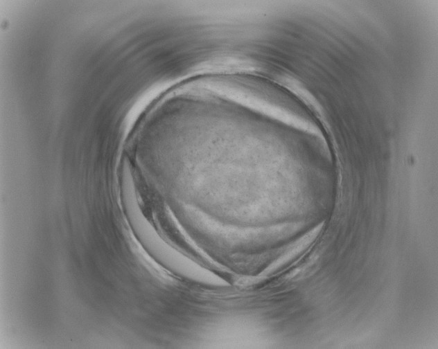 X0000075381344200609291541